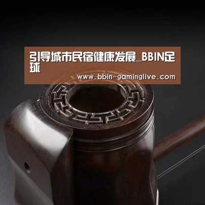引导城市民宿健康发展_BBIN足球(图2) BBIN体育