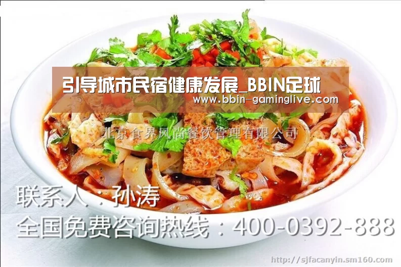 引导城市民宿健康发展_BBIN足球(图3) BBIN足球