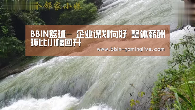 BBIN篮球-
企业谋划向好 整体薪酬环比小幅回升(图1) BBIN电竞